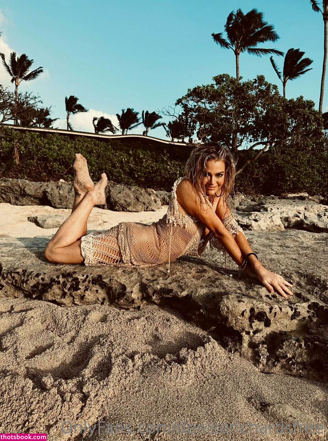 Denise Richards Photo #17