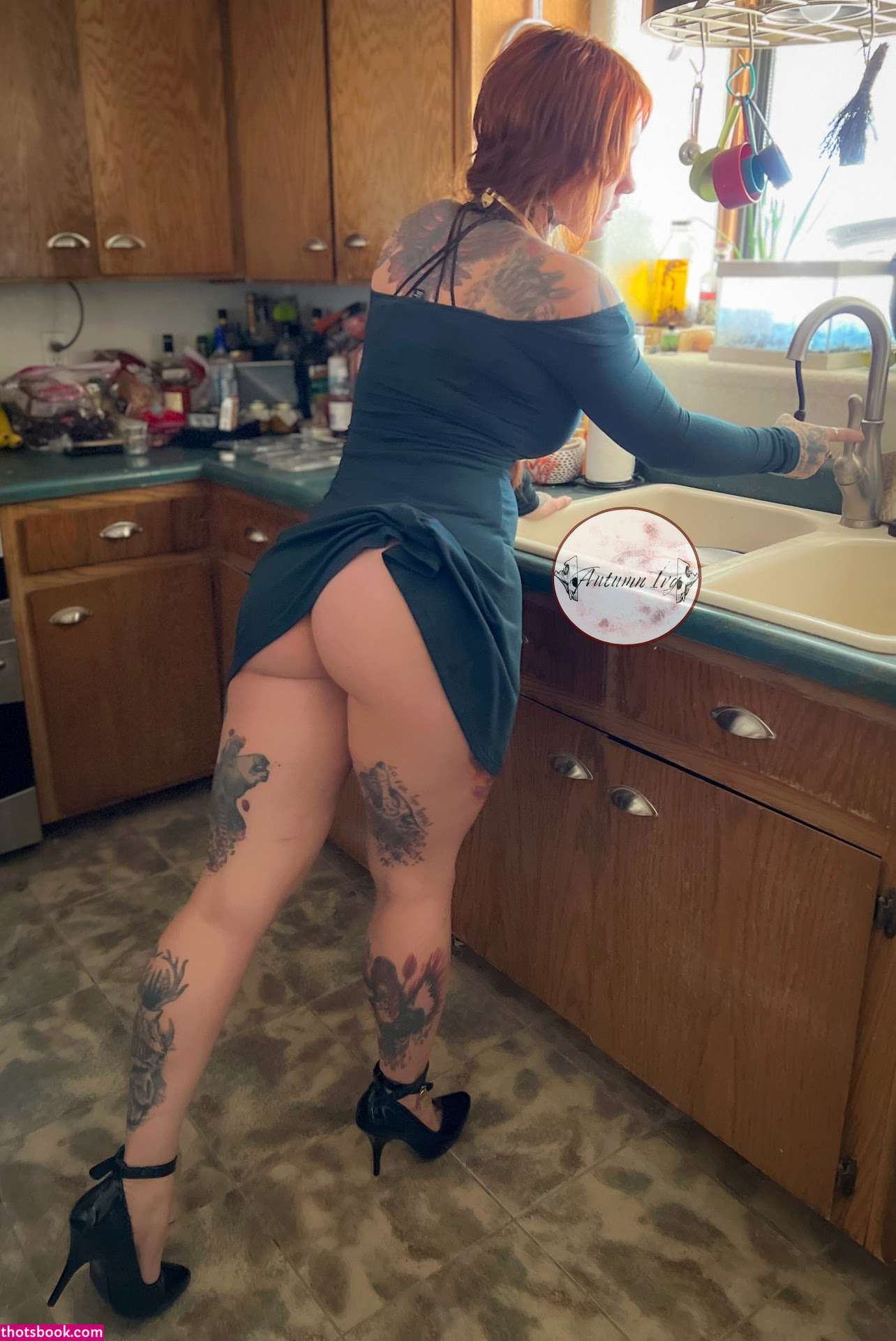 Autumn Ivy Photo #57