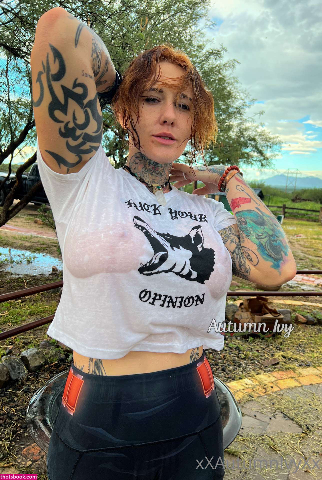 Autumn Ivy Photo #98