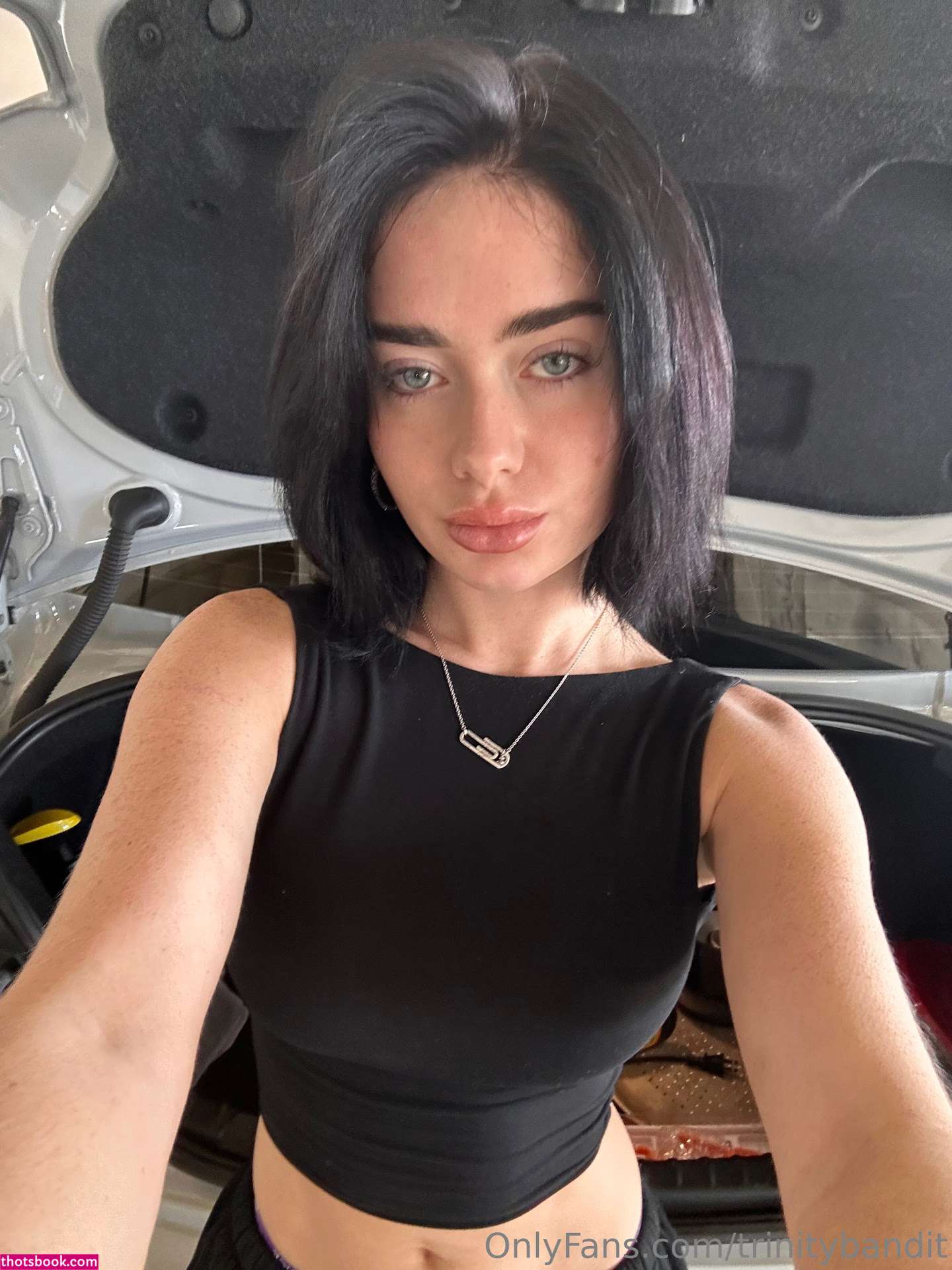 Trinity Bandit Photo #270