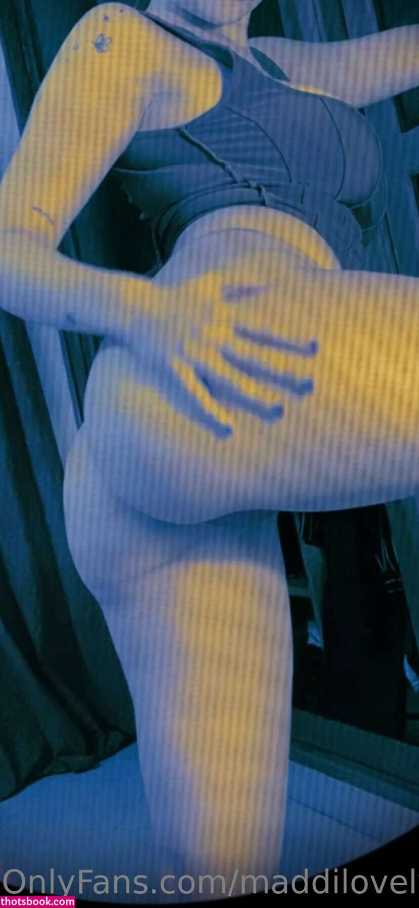 catatorrano Photo #146