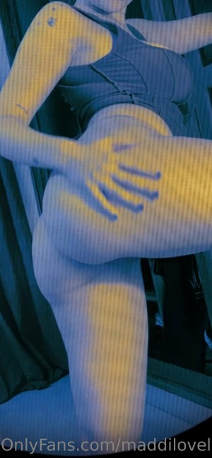 catatorrano Photo #146