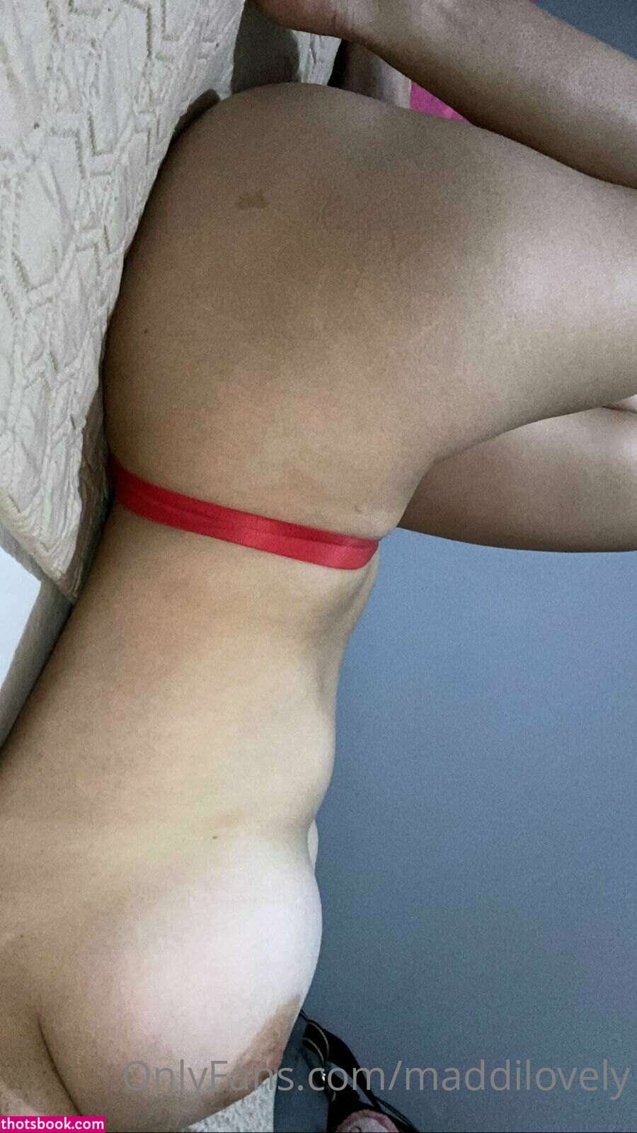 catatorrano Photo #230