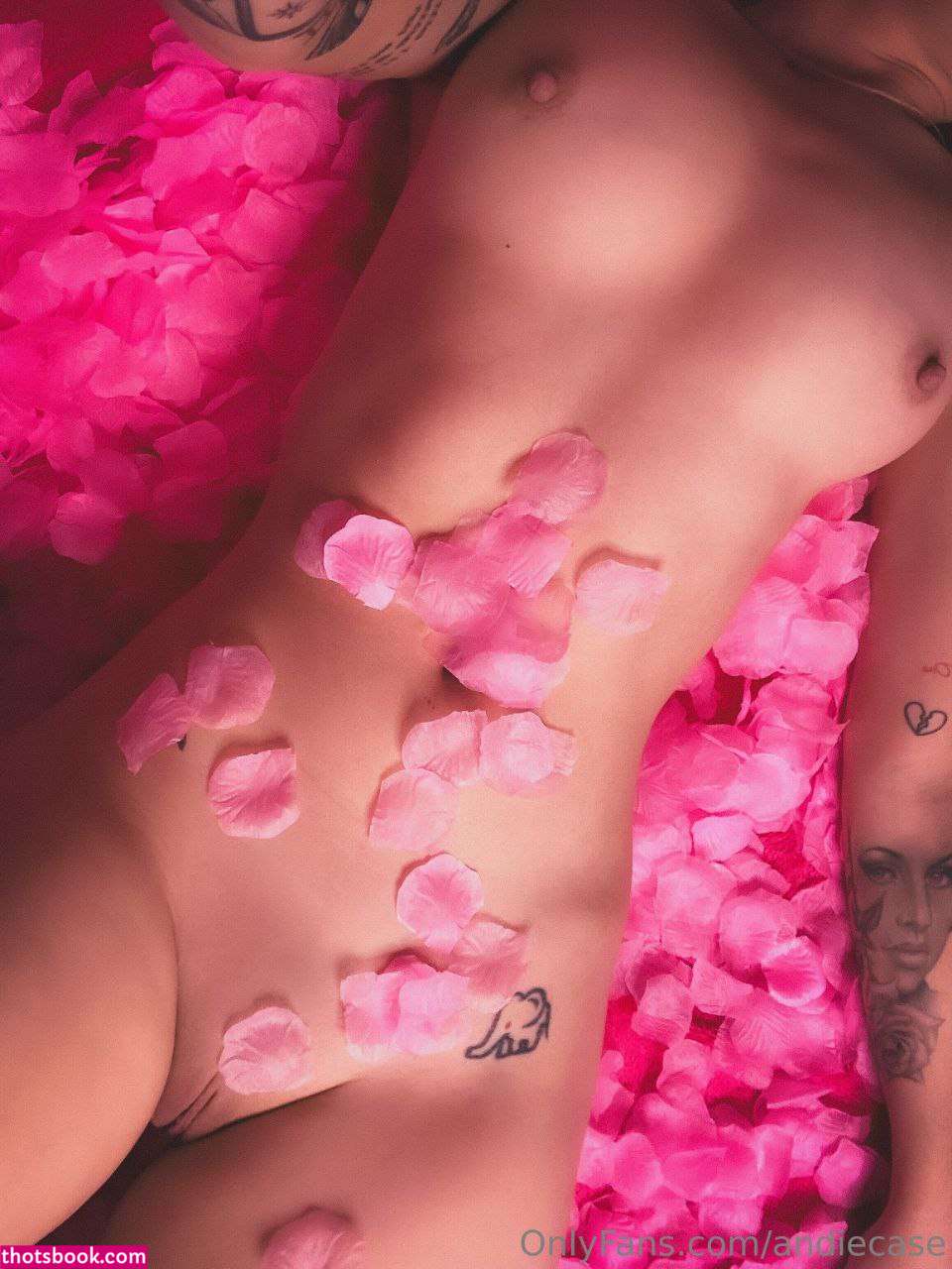 Andie Case Photo #233