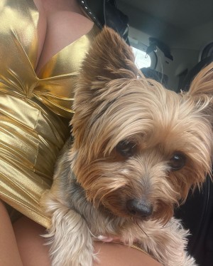 Mandity Izabella Photo #84