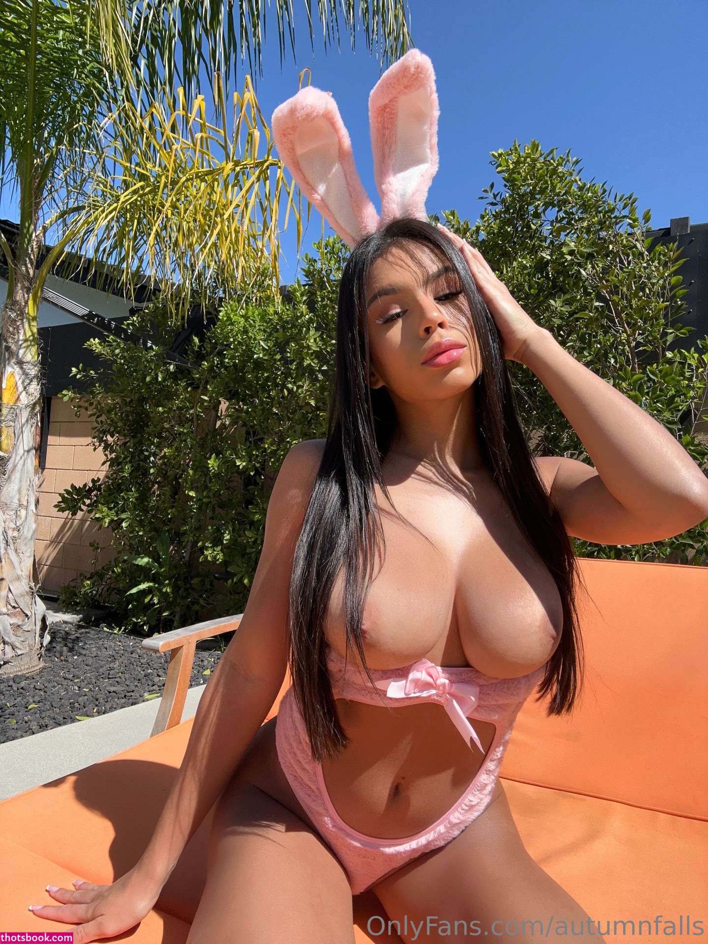 Autumn Falls Photo #312