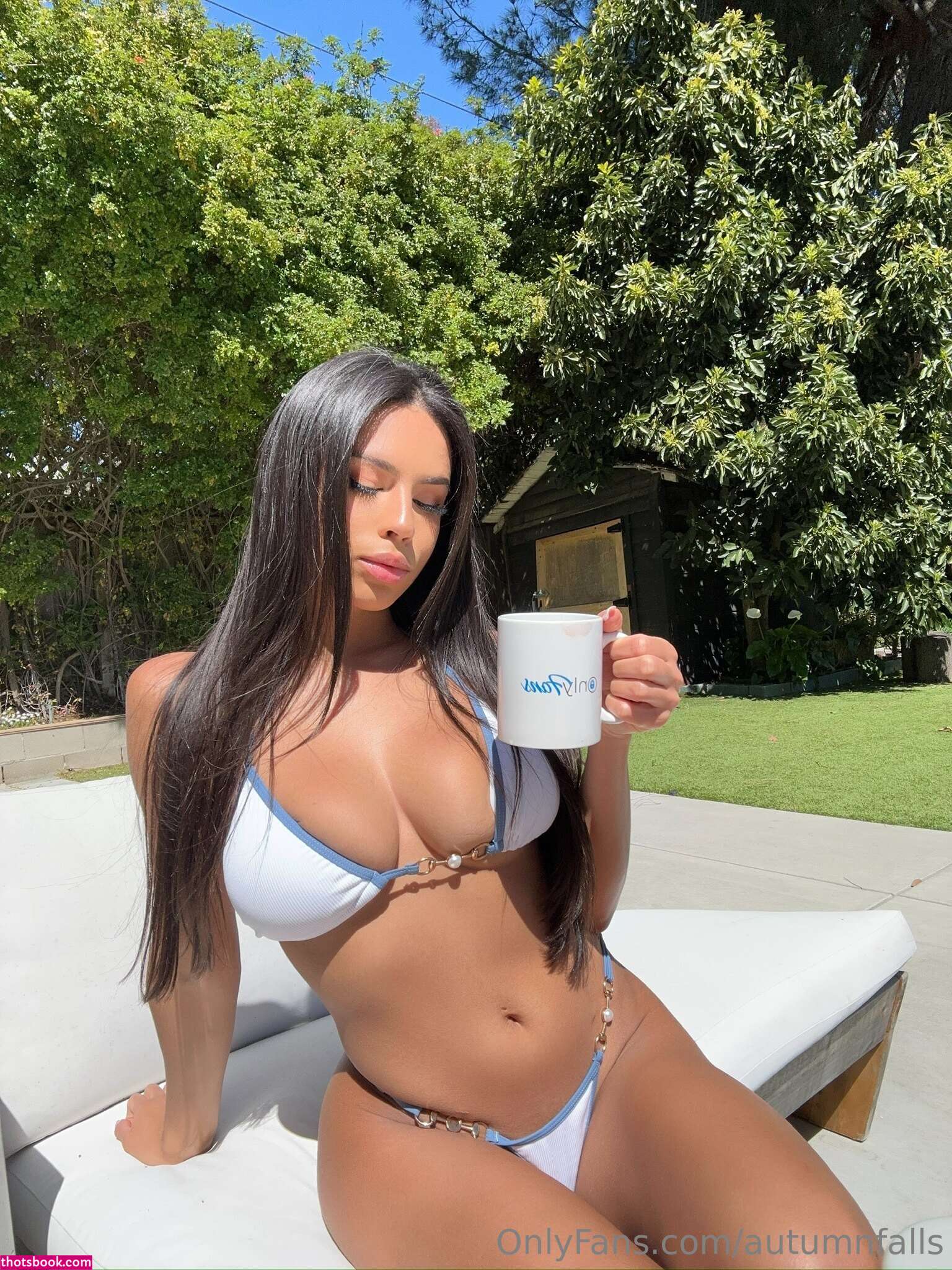 Autumn Falls Photo #357