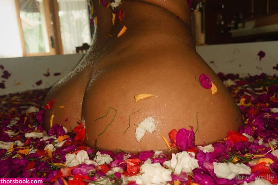 Toni Camille Photo #374