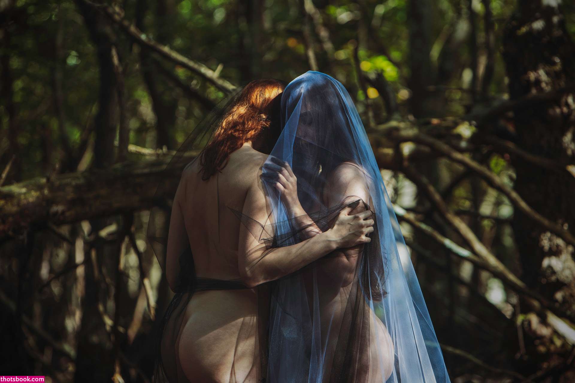 Icelandic Selkie Photo #4