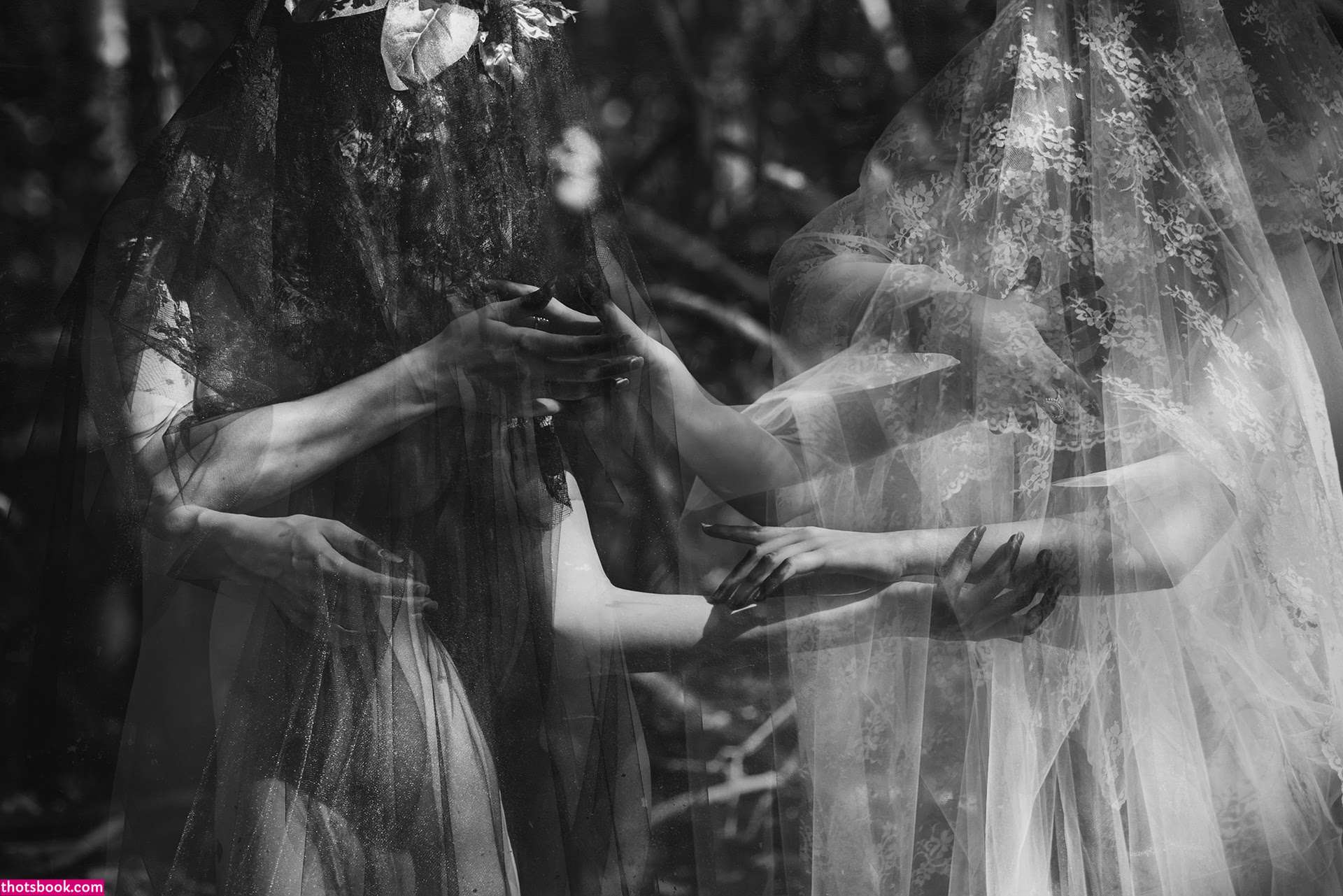 Icelandic Selkie Photo #10