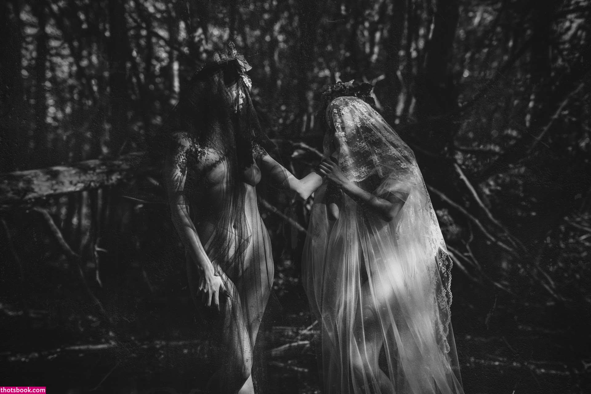 Icelandic Selkie Photo #14