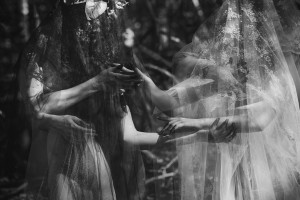 Icelandic Selkie Photo #10