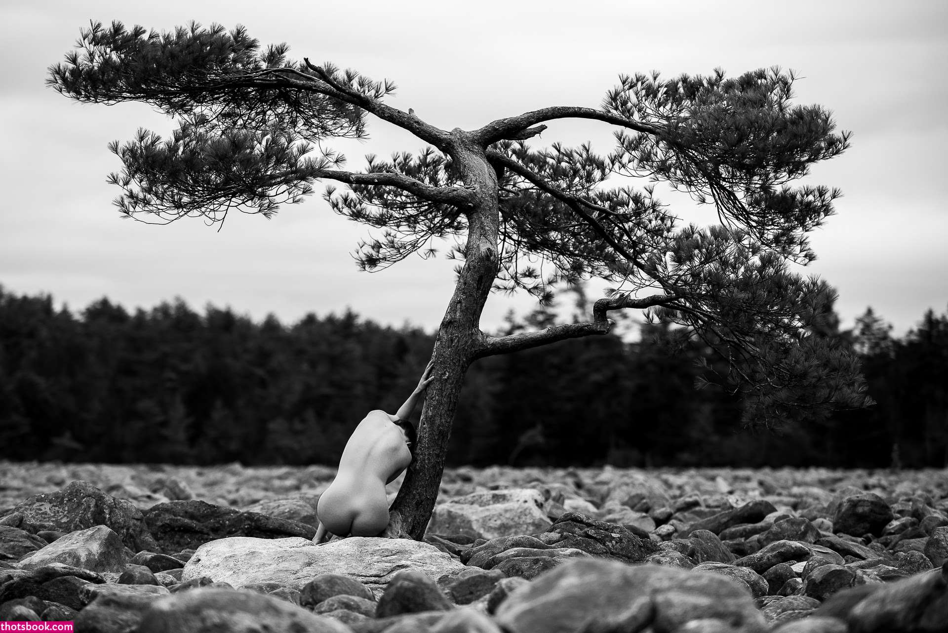 Icelandic Selkie Photo #130