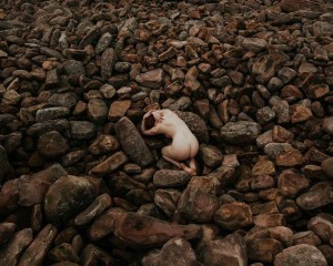 Icelandic Selkie Photo #126