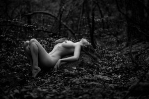 Icelandic Selkie Photo #127