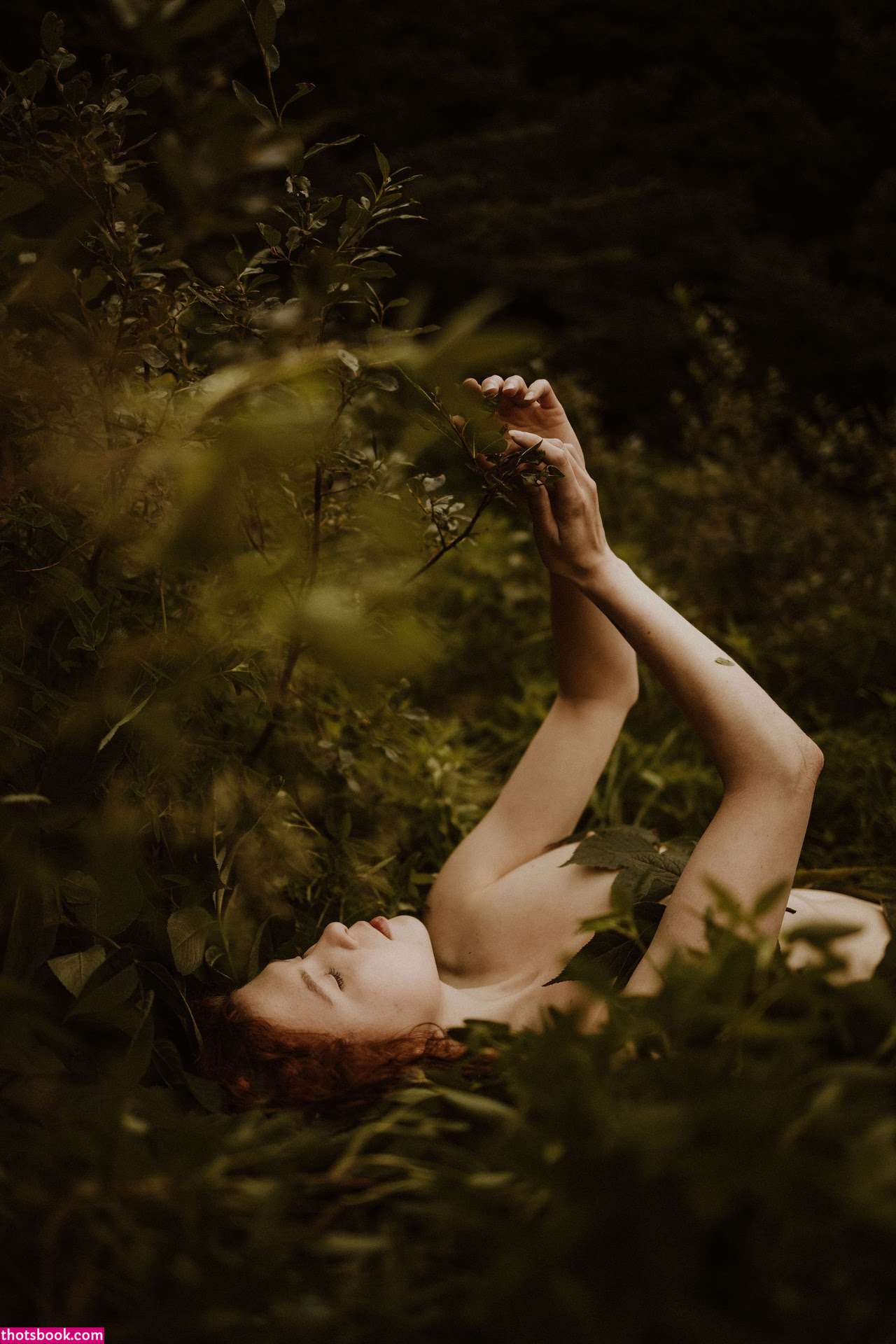 Icelandic Selkie Photo #148