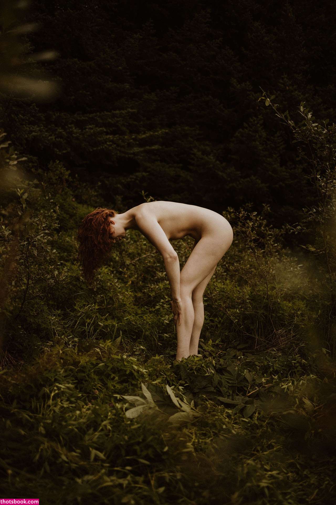 Icelandic Selkie Photo #151