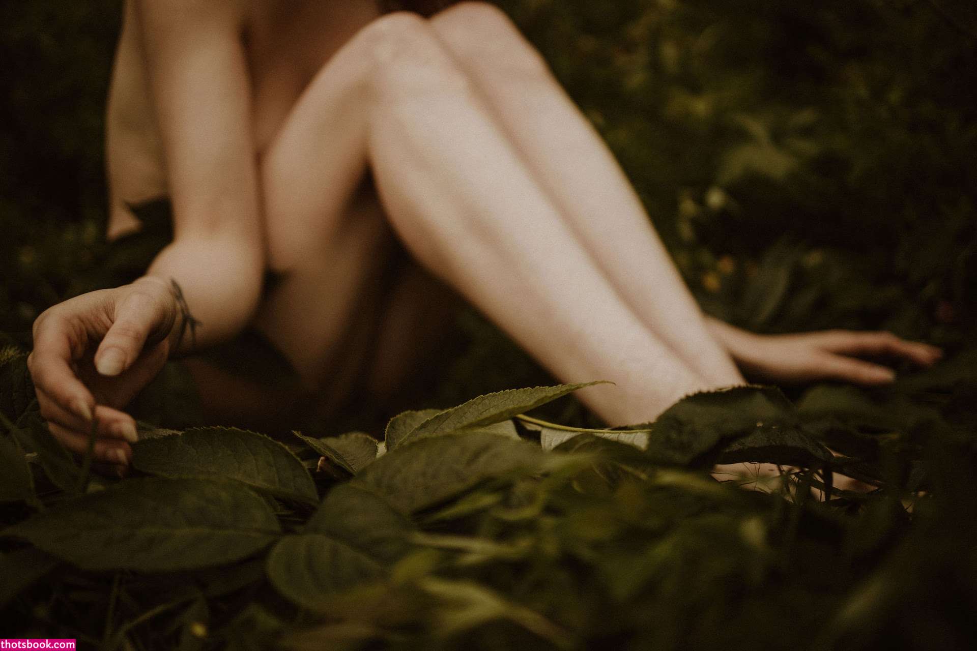 Icelandic Selkie Photo #159