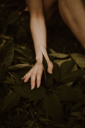 Icelandic Selkie Post #8