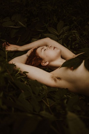 Icelandic Selkie Photo #174