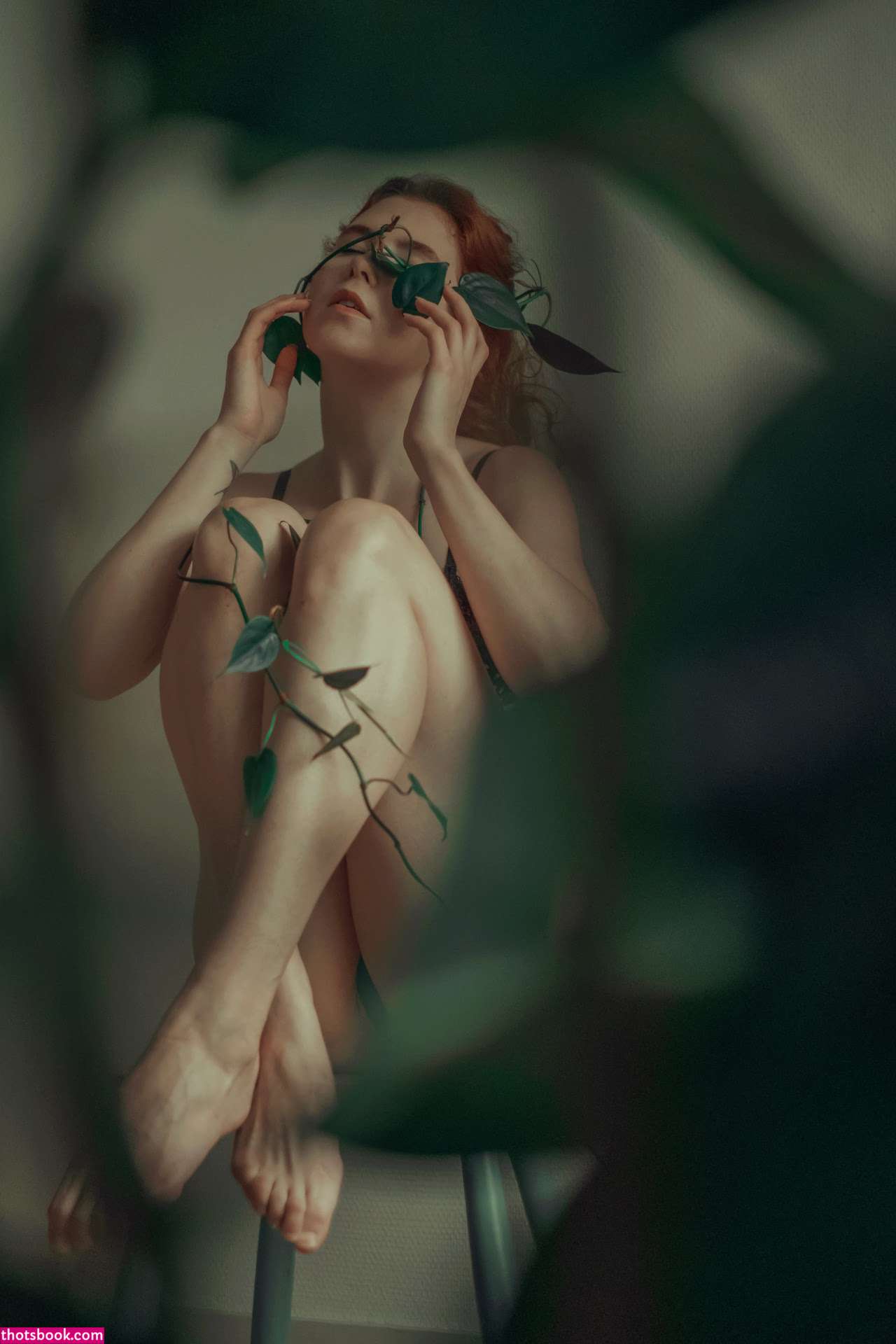 Celandic Selkie Photo #8