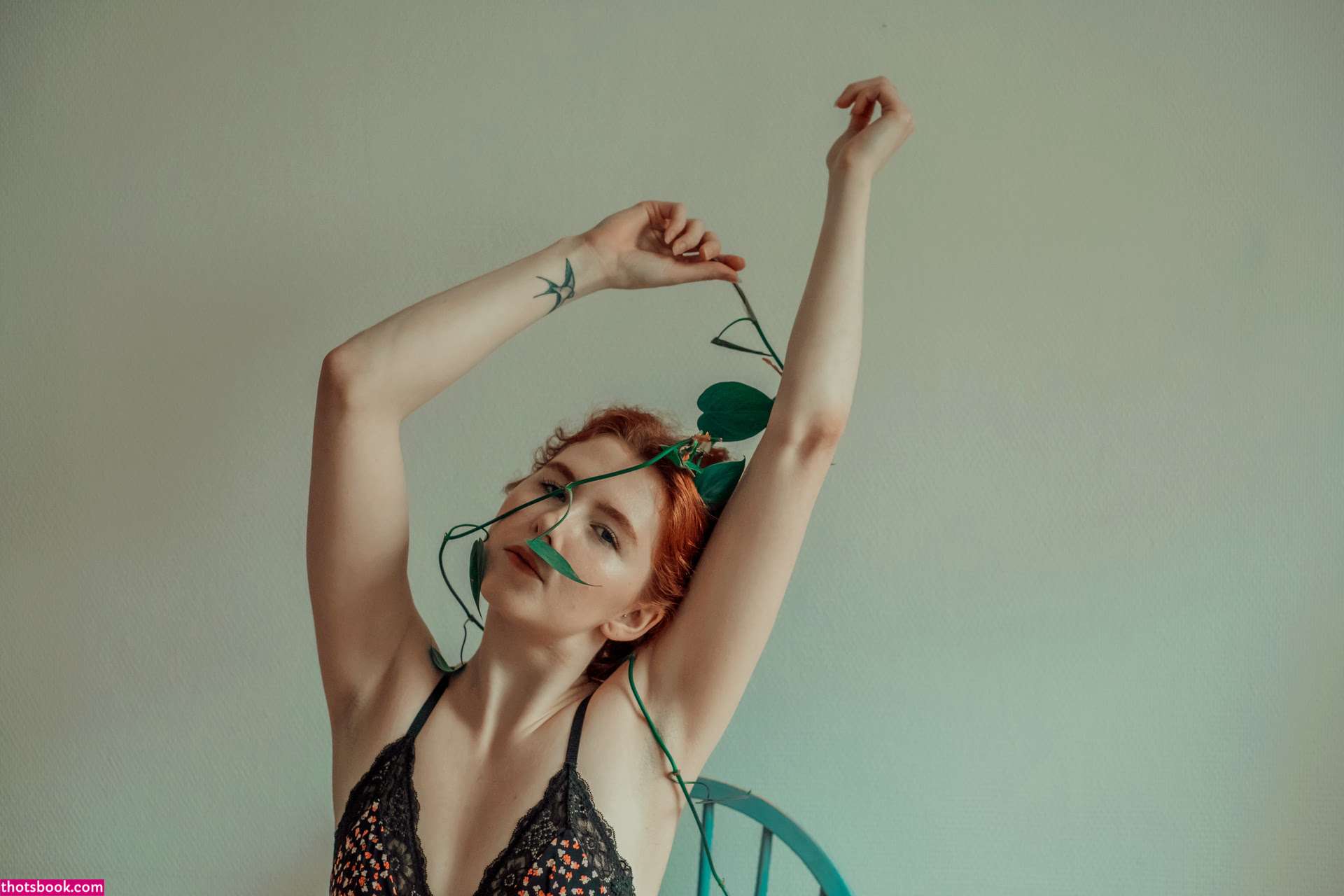 Celandic Selkie Photo #10