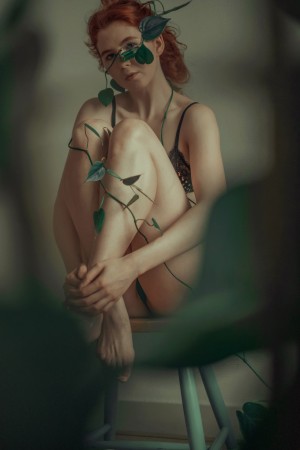 Celandic Selkie Photo #7