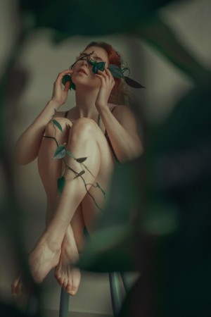 Celandic Selkie Photo #8