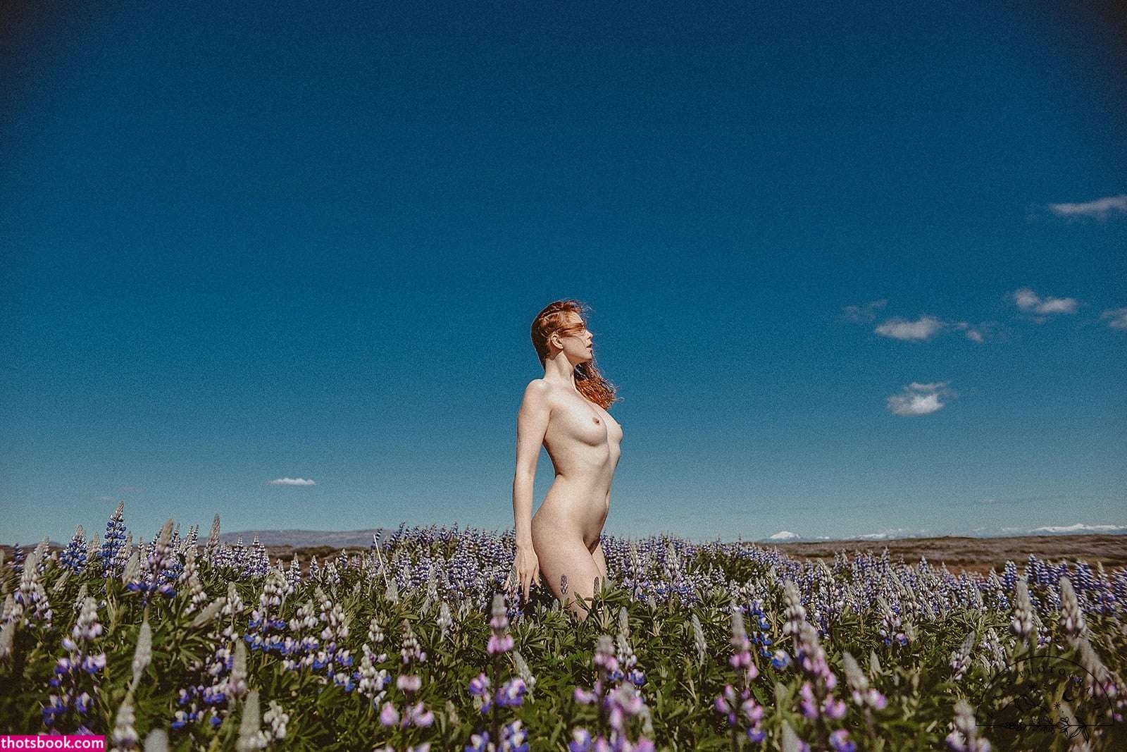 Icelandic Selkie Photo #195