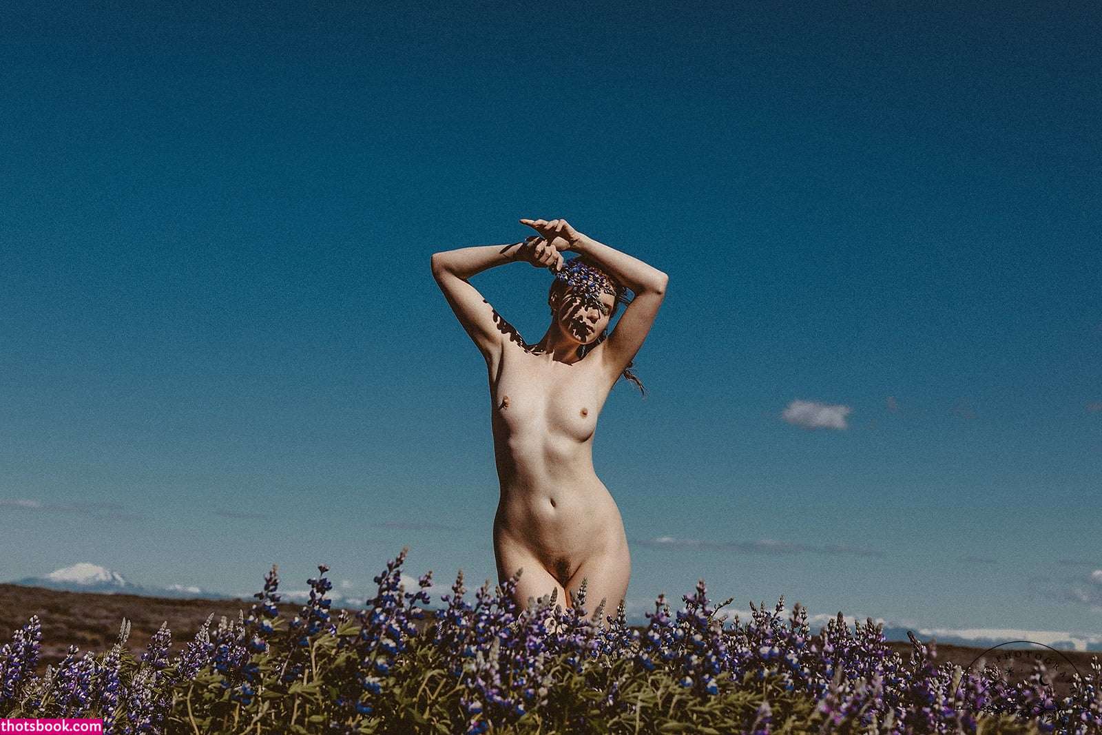 Icelandic Selkie Photo #196