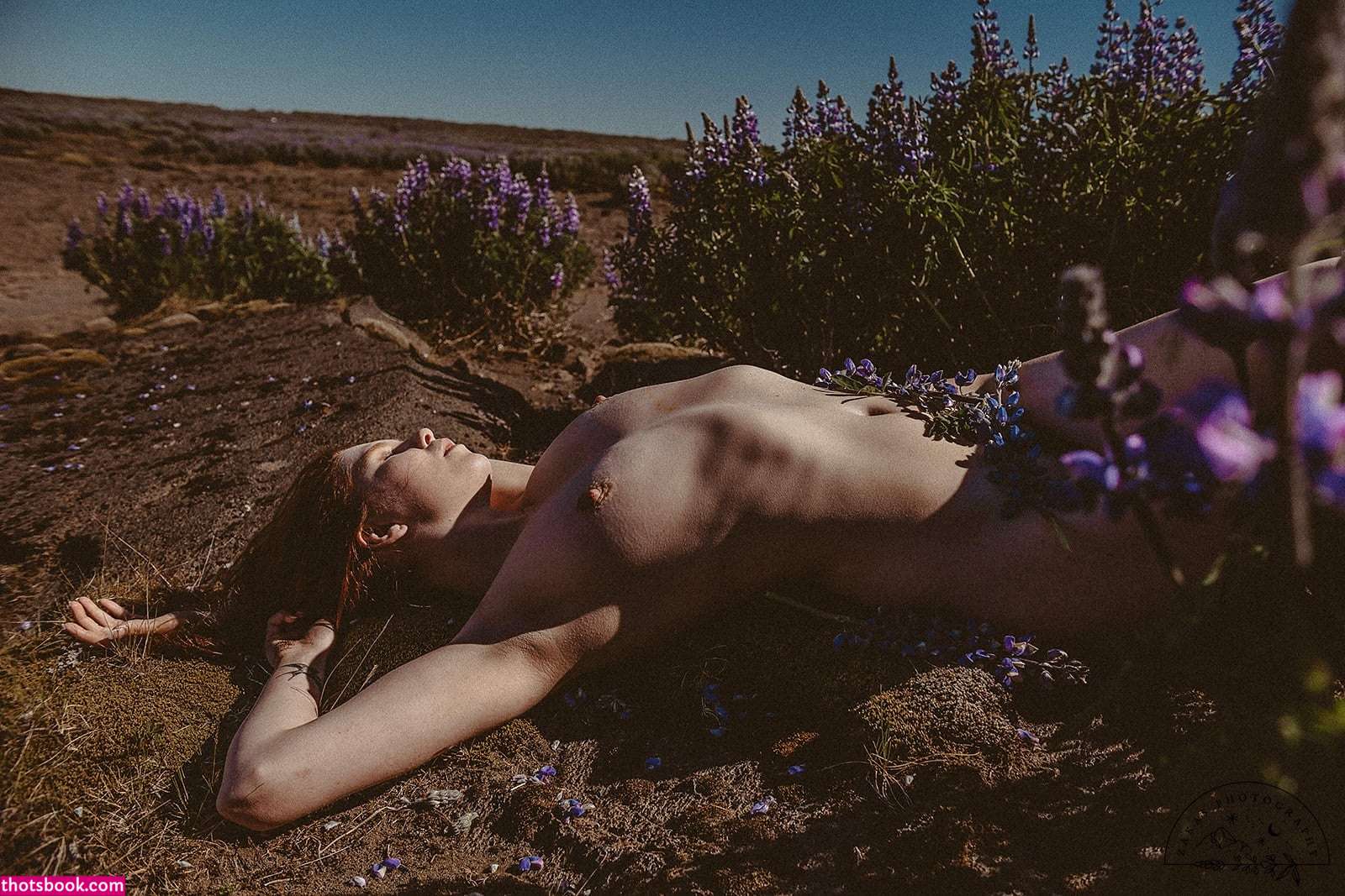 Icelandic Selkie Photo #204