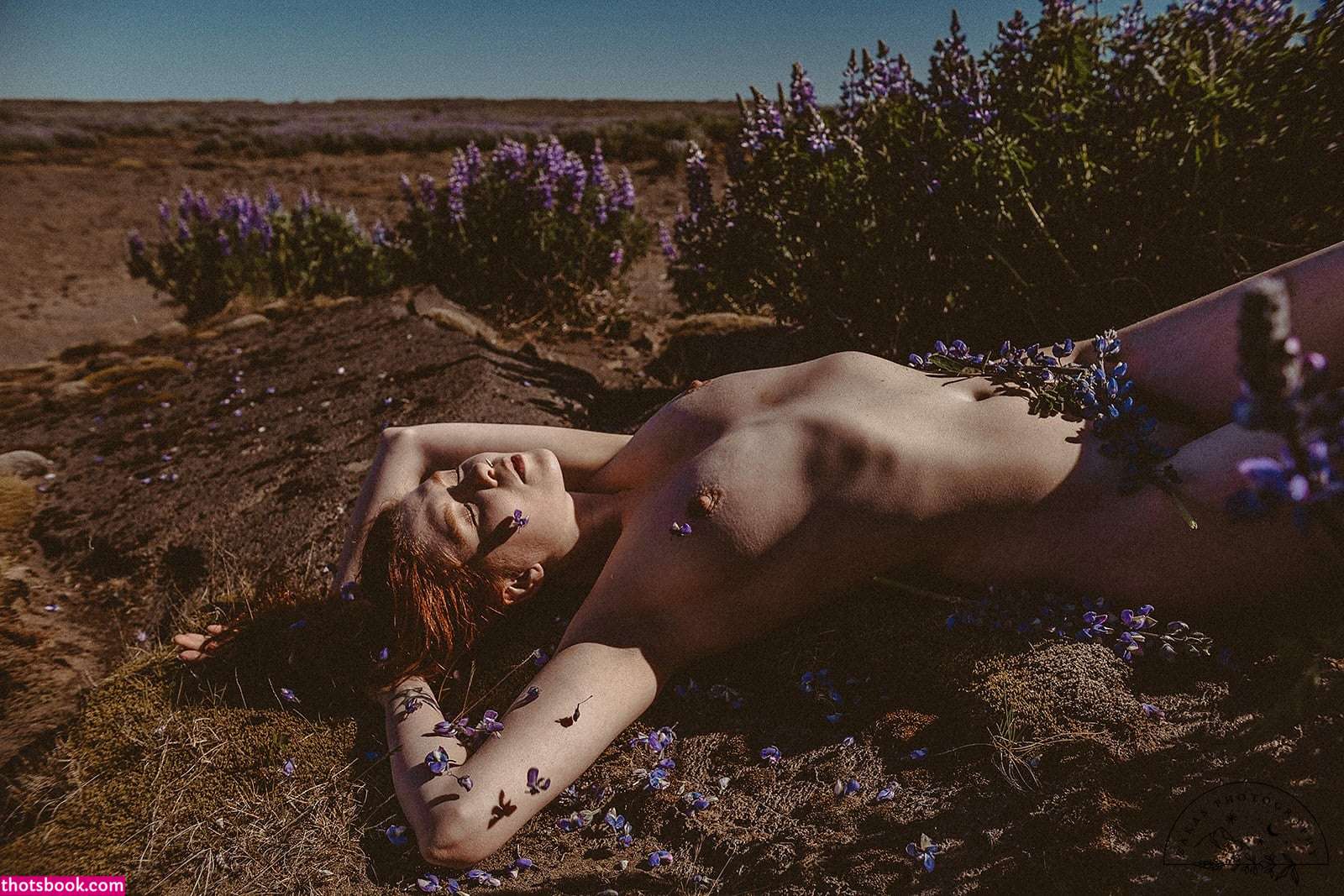 Icelandic Selkie Photo #208