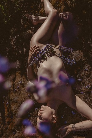 Icelandic Selkie Photo #212