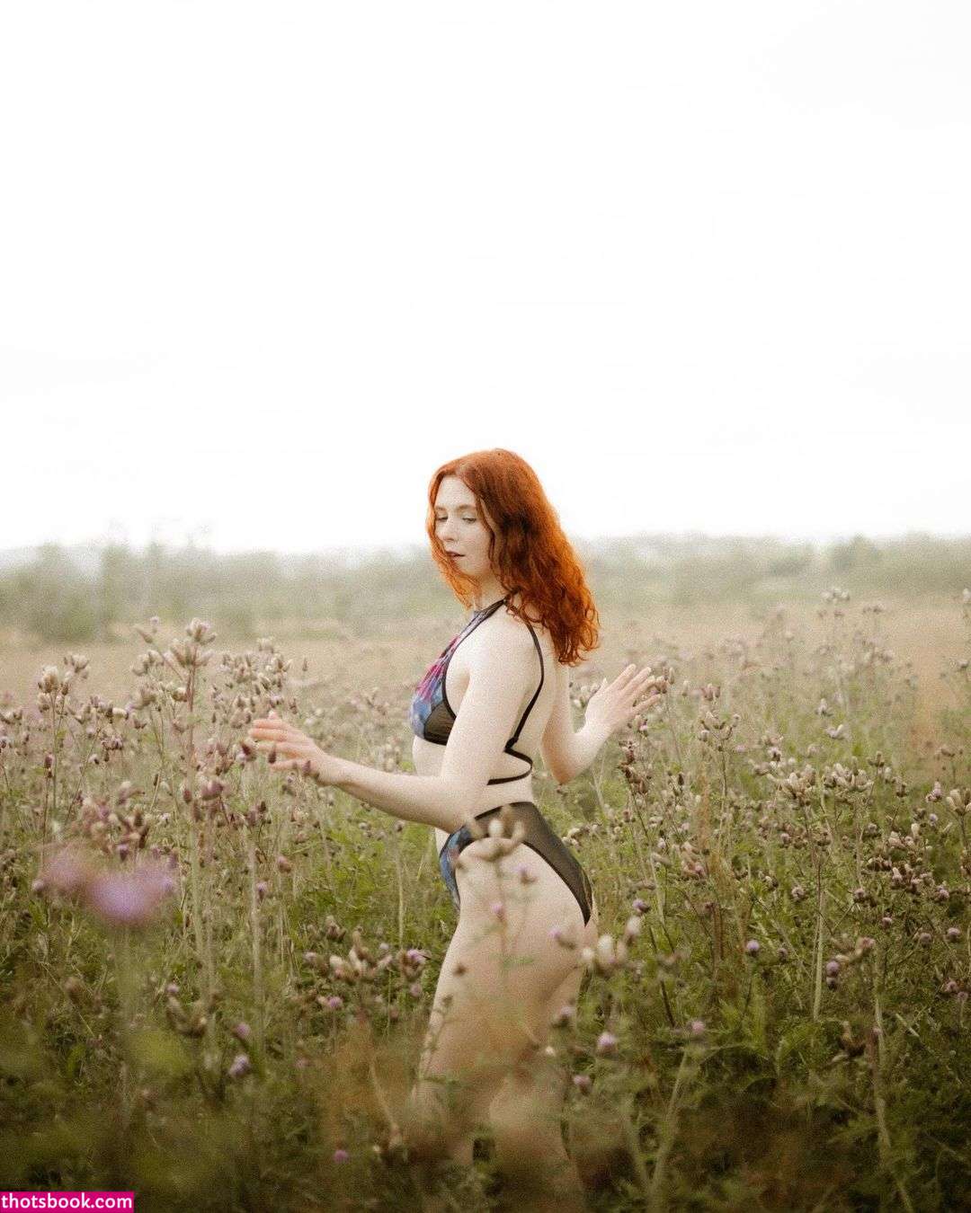 Icelandic Selkie Photo #299