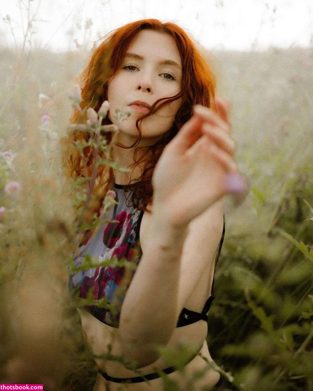 Icelandic Selkie Photo #301