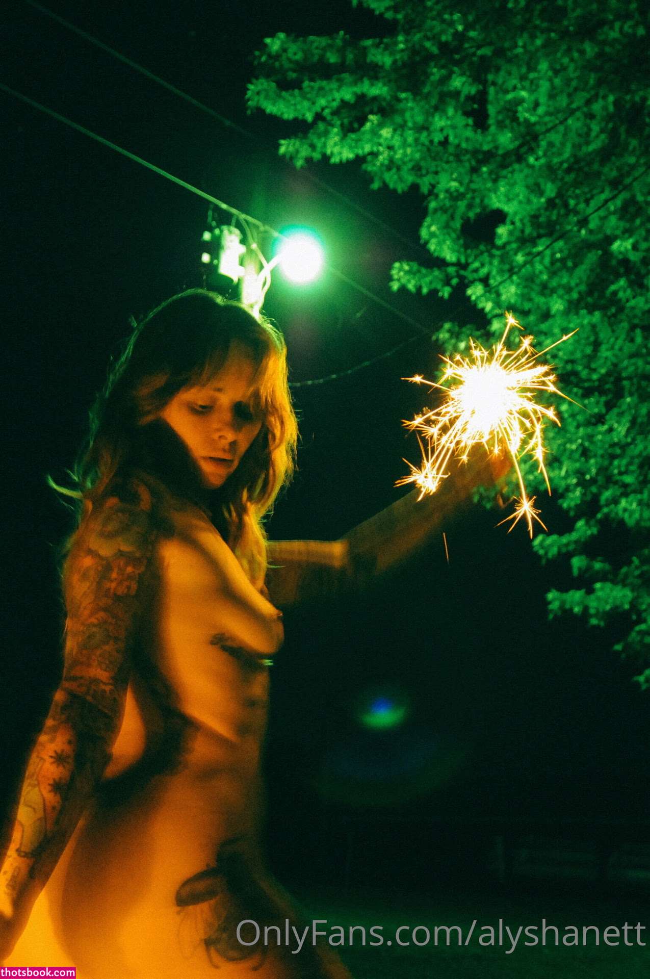 Alysha Nett Photo #30