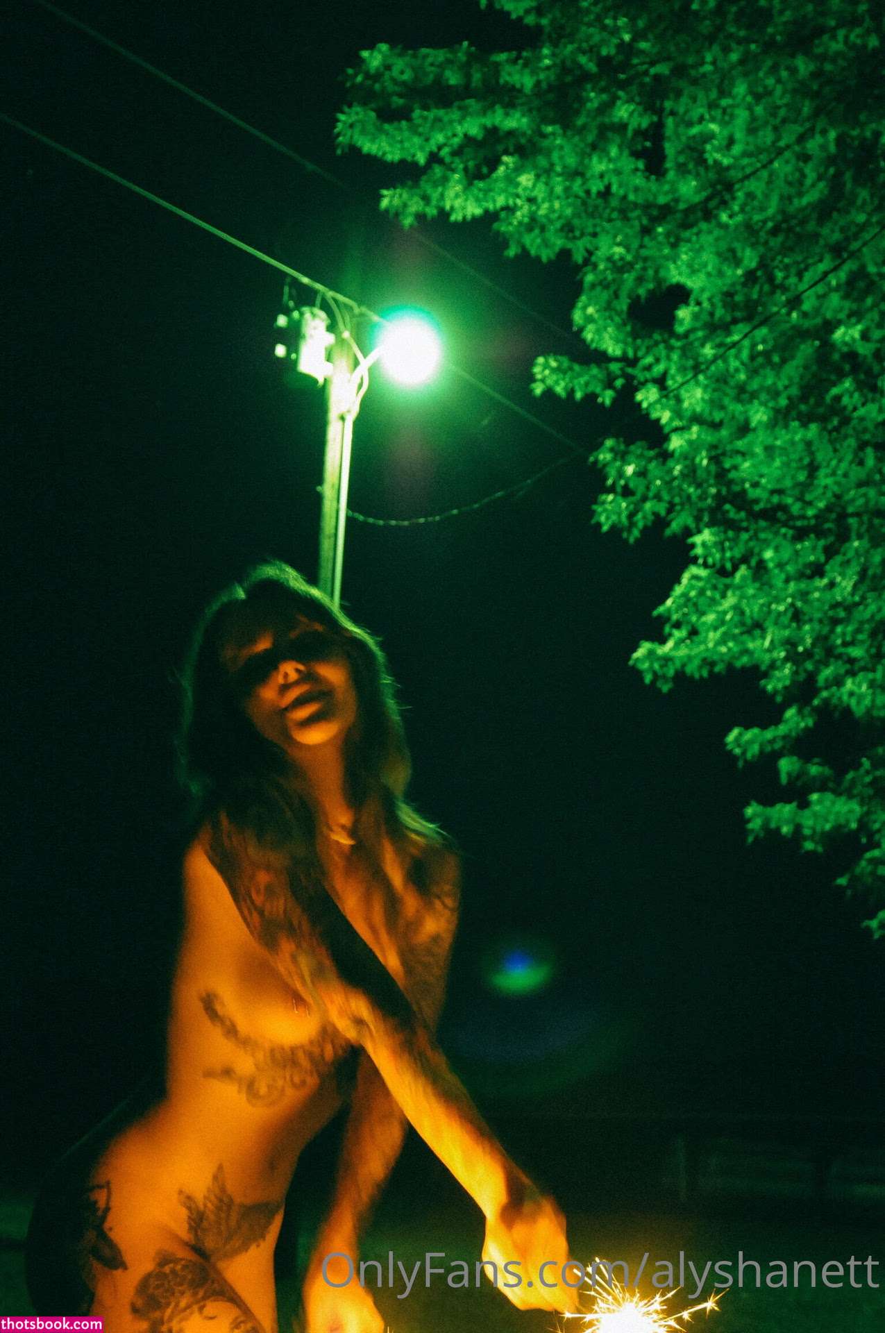 Alysha Nett Photo #31