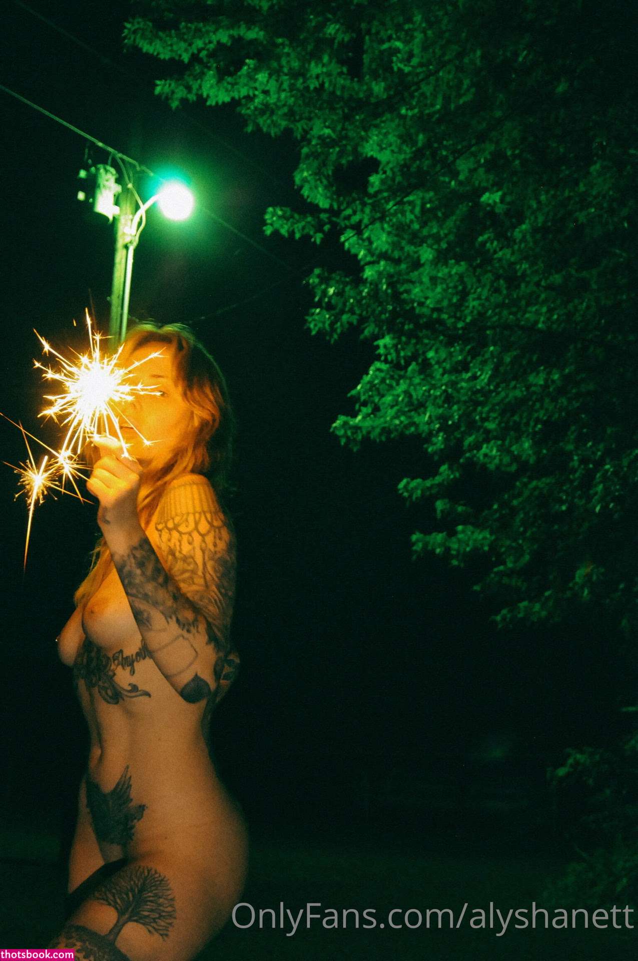 Alysha Nett Photo #39