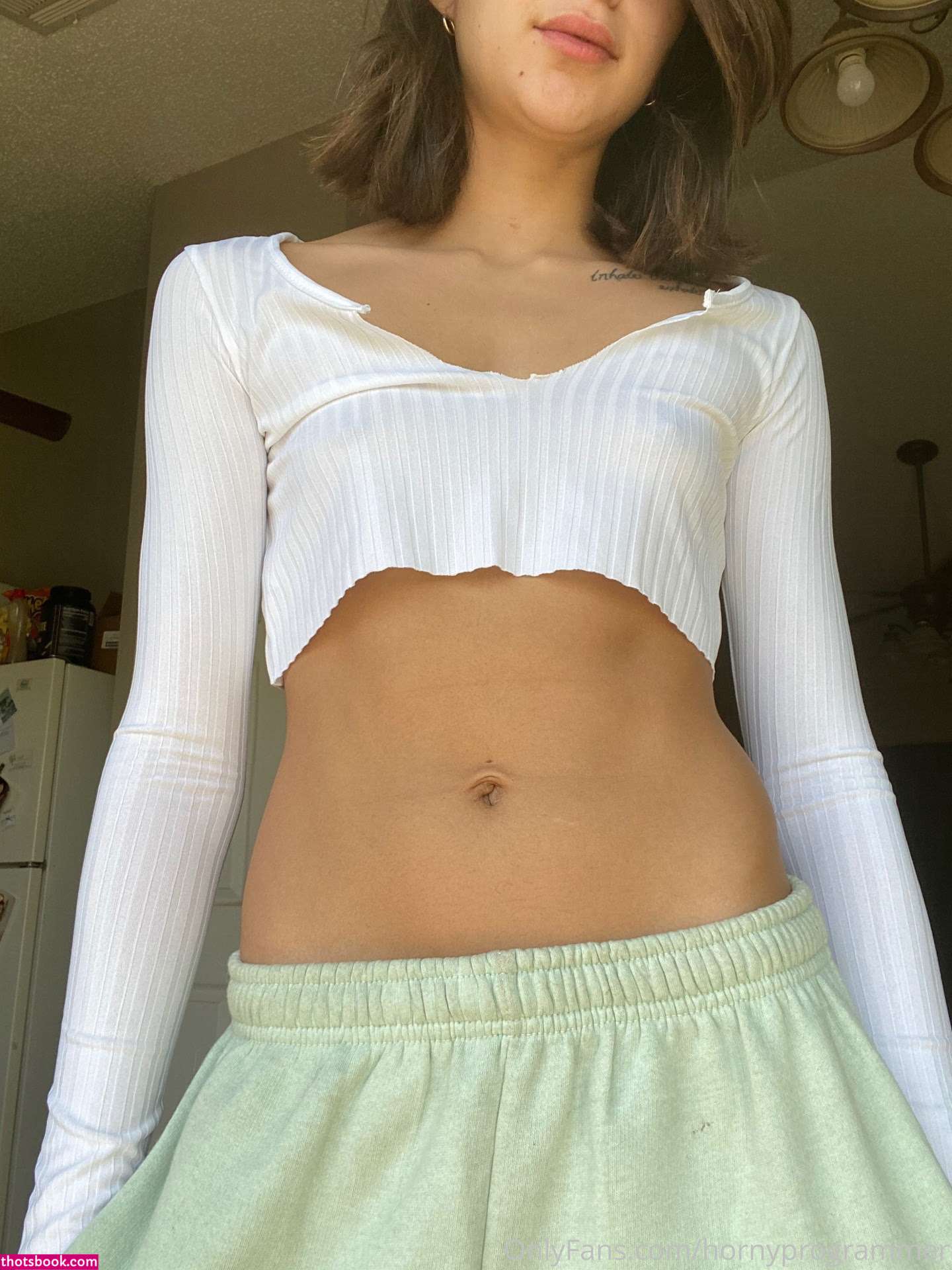 hornyprogrammer Photo #1