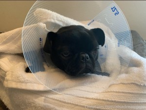 Elsa Jean Photo #491