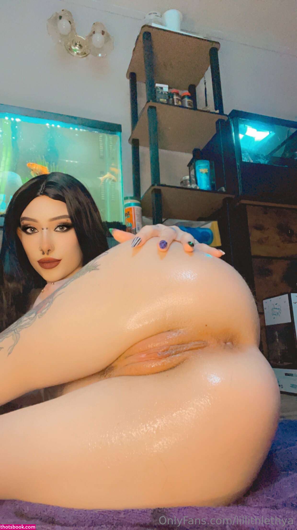 Stepsislillith Photo #328