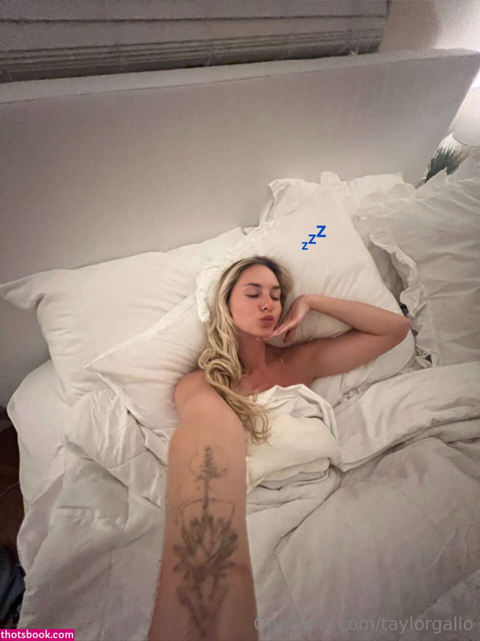 Taylor Gallo Photo #279