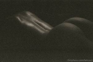 Fallcosplay Photo #344