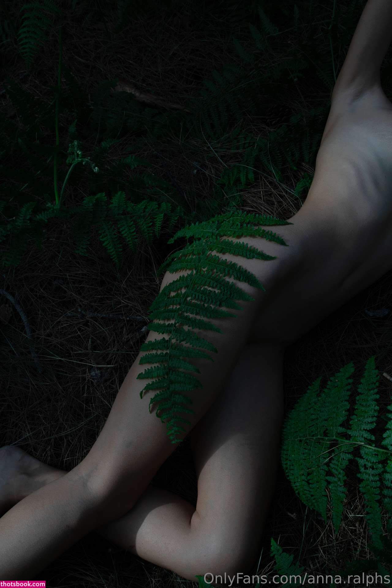 Deanralphs Photo #310