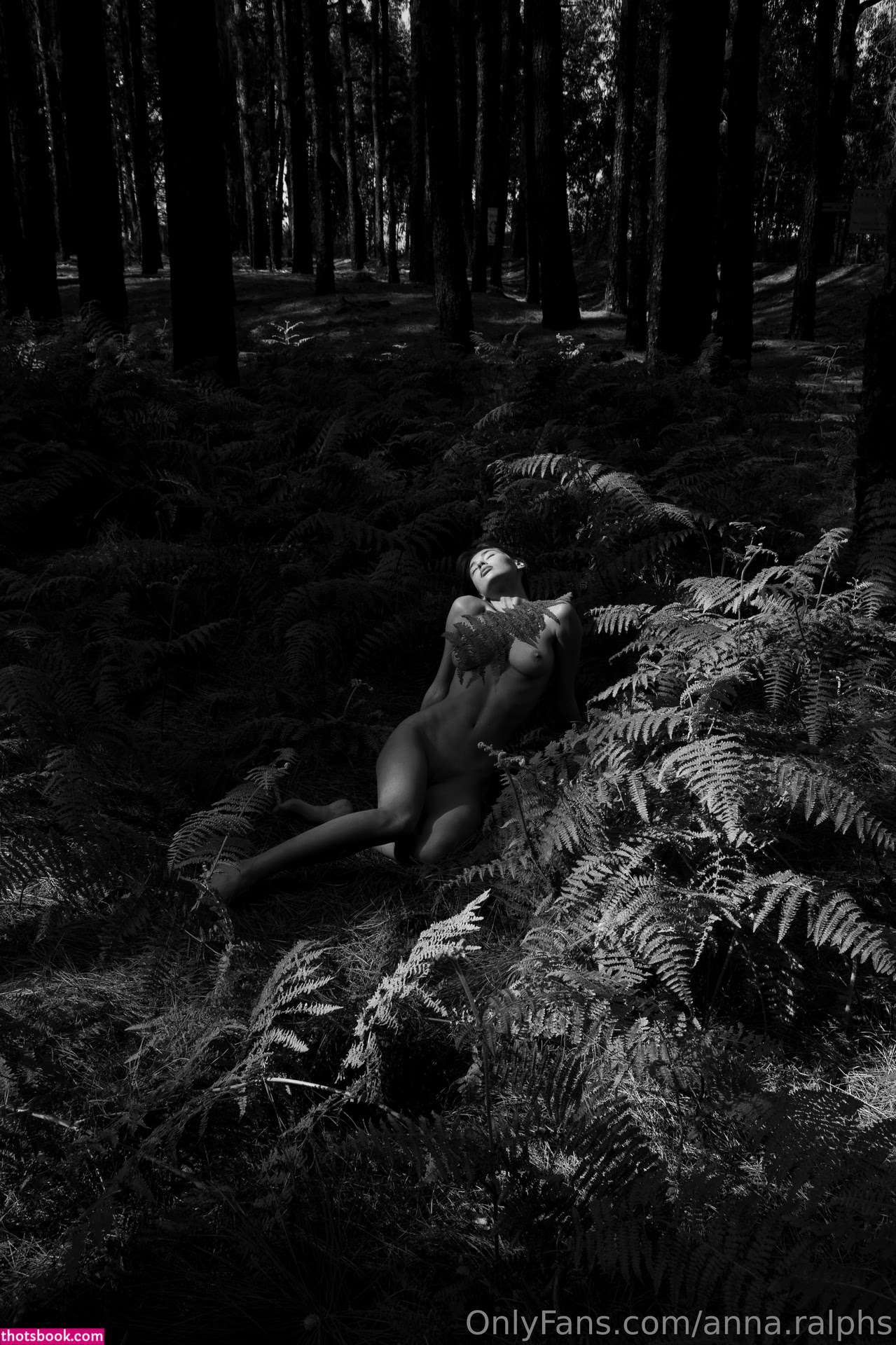 Deanralphs Photo #311