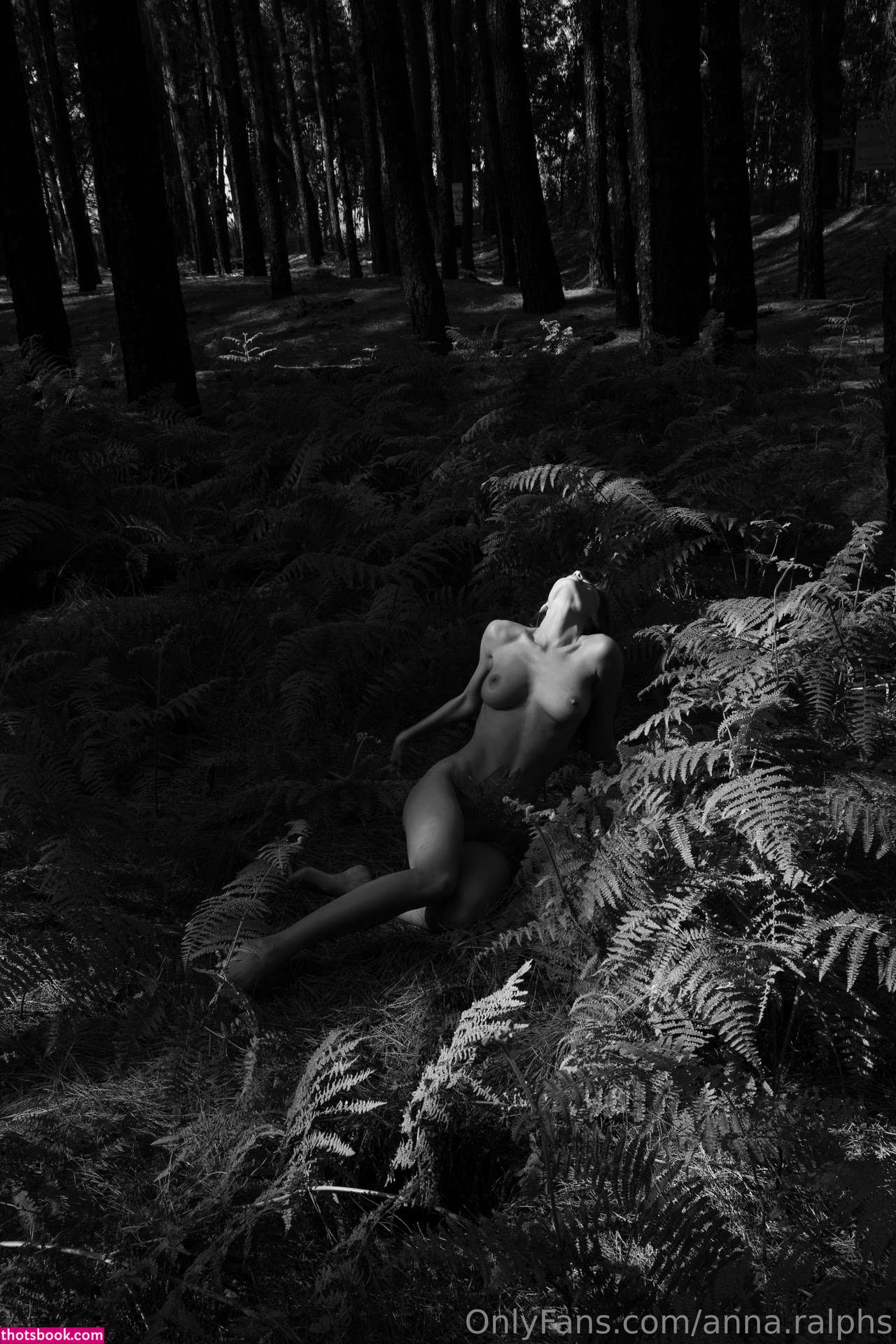 Deanralphs Photo #321