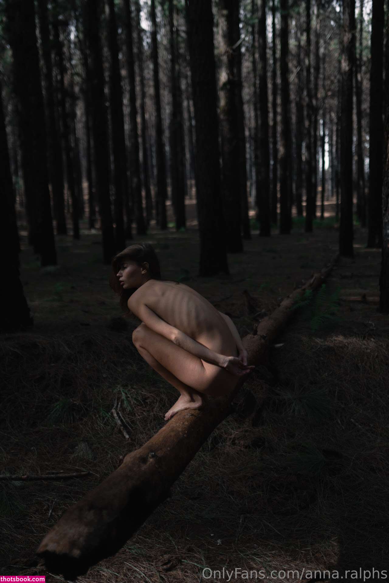 Deanralphs Photo #322