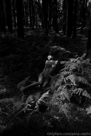 Deanralphs Photo #311