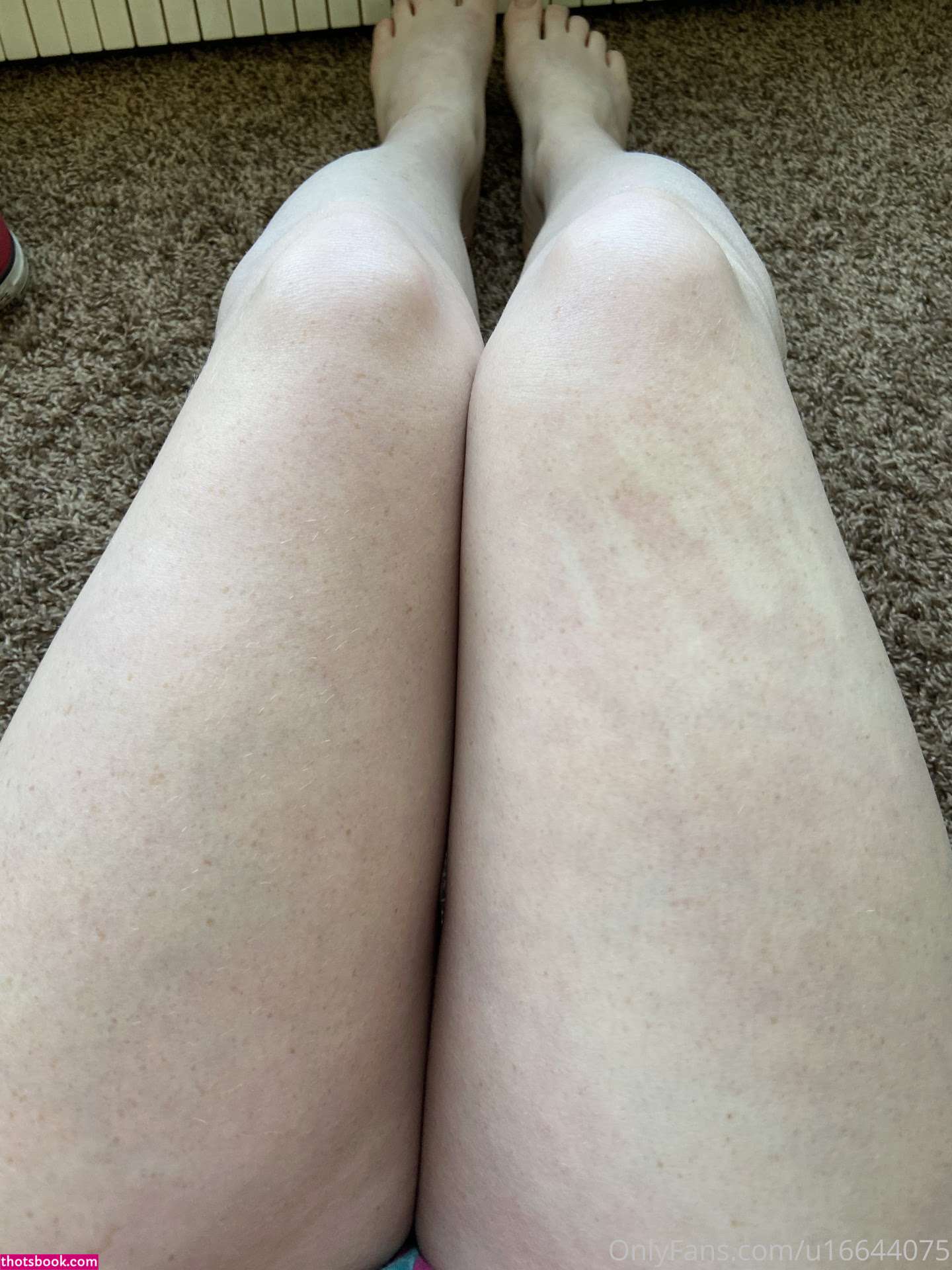 Freckledspirit Photo #74