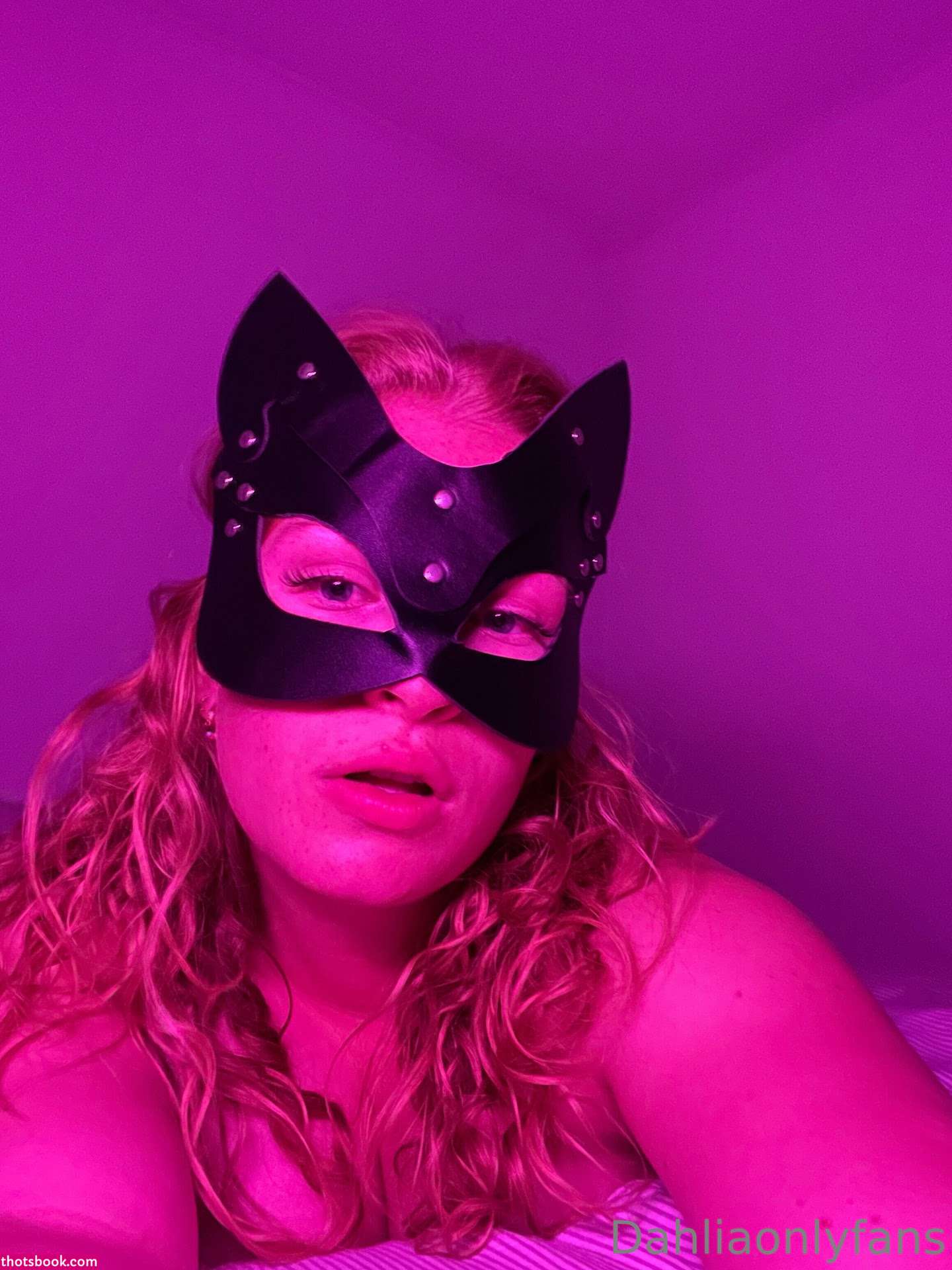 Dahliadafreak Photo #10